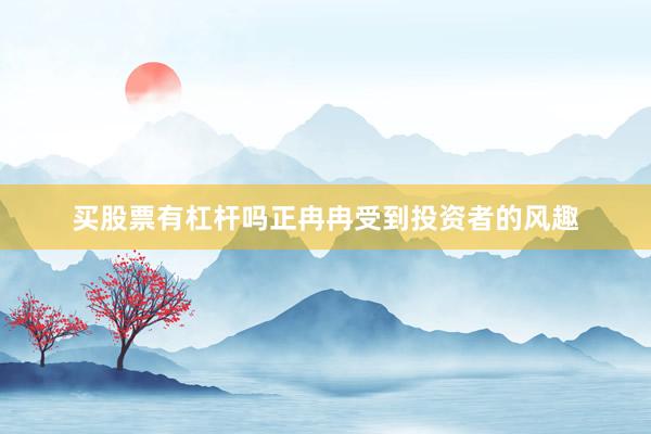 买股票有杠杆吗正冉冉受到投资者的风趣
