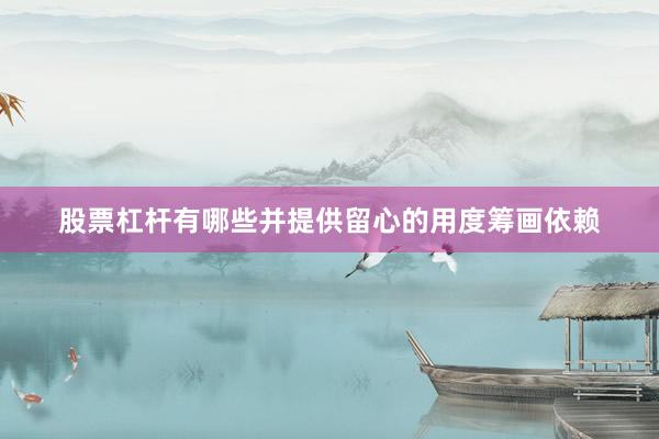 股票杠杆有哪些并提供留心的用度筹画依赖