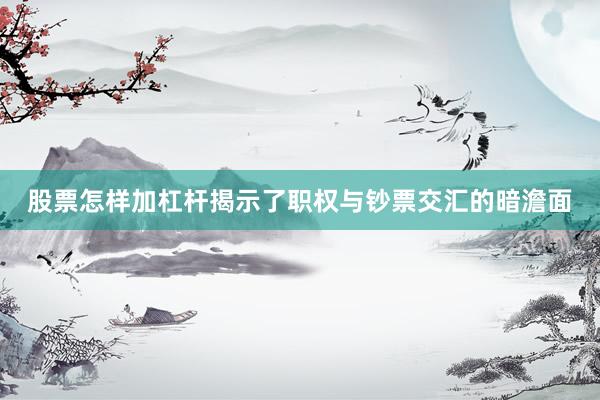 股票怎样加杠杆揭示了职权与钞票交汇的暗澹面
