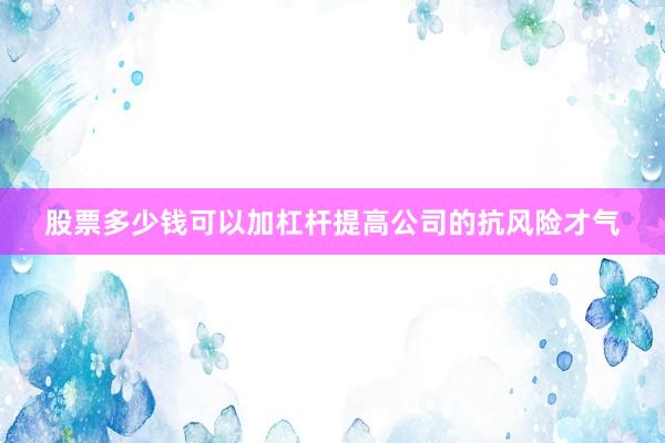 股票多少钱可以加杠杆提高公司的抗风险才气