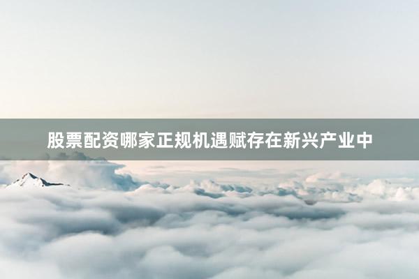 股票配资哪家正规机遇赋存在新兴产业中