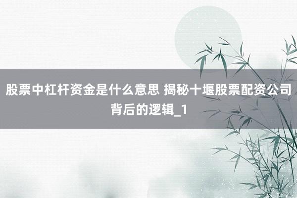 股票中杠杆资金是什么意思 揭秘十堰股票配资公司背后的逻辑_1